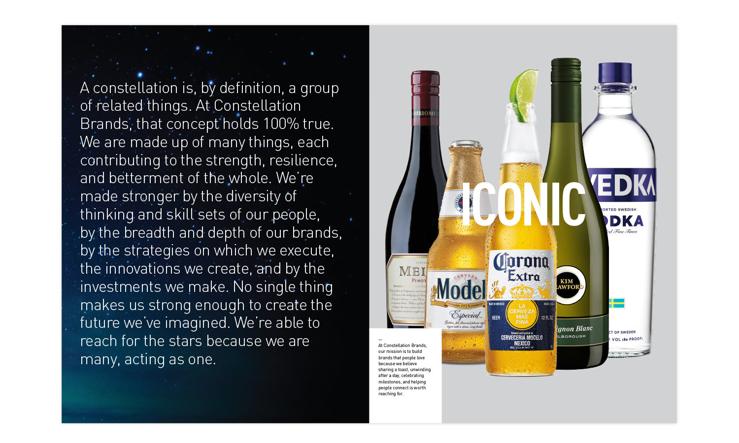 Image showing five beverage bottles, including wine, beer, and vodka, arranged against a dark background with stars. The word 'ICONIC' is overlaid on the bottles. Left side features text about diversity and innovation at Constellation Brands.