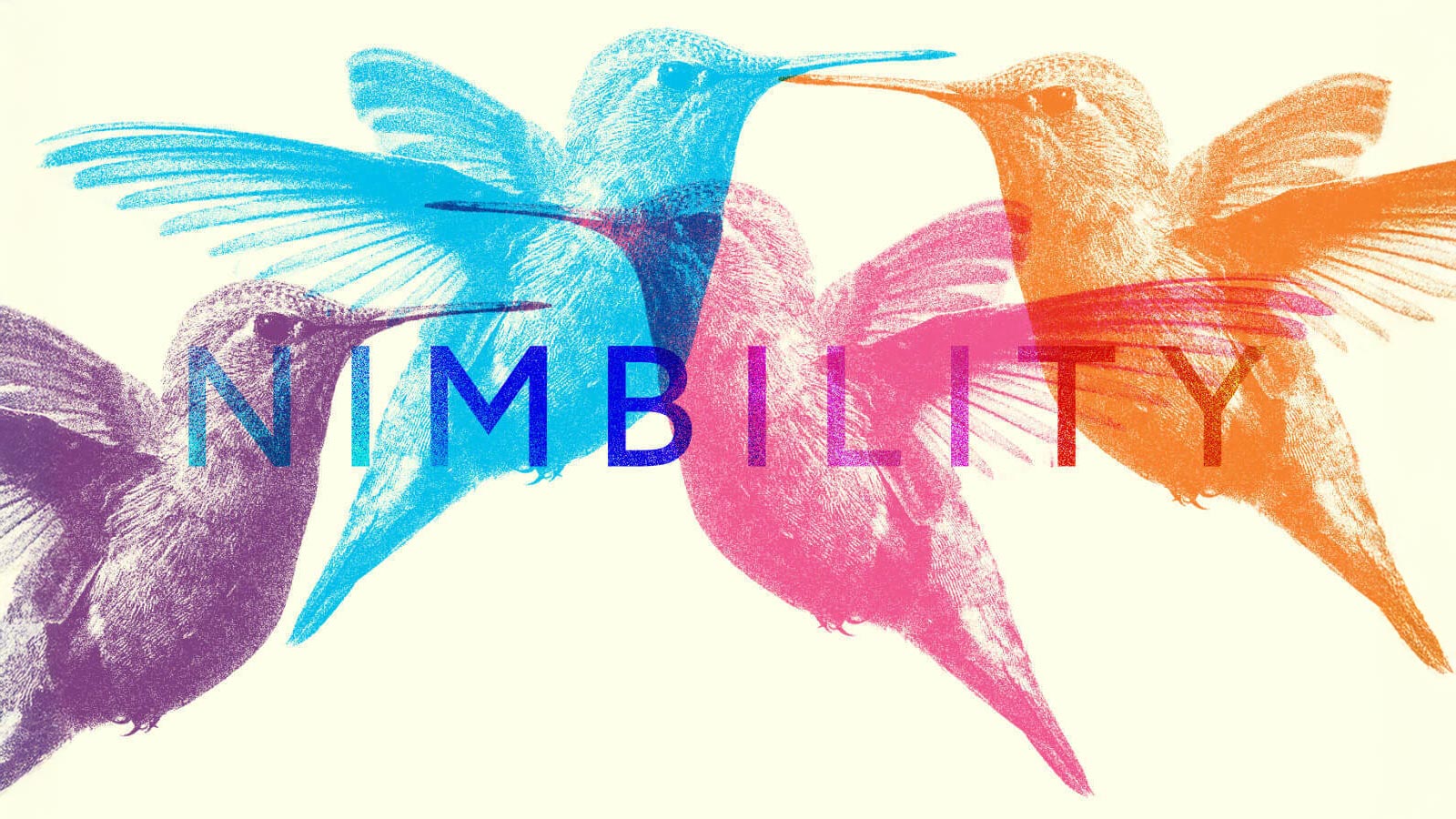 Four hummingbirds in blue, purple, pink, and orange overlap on a light background. The word "NIMBILITY" is centered.