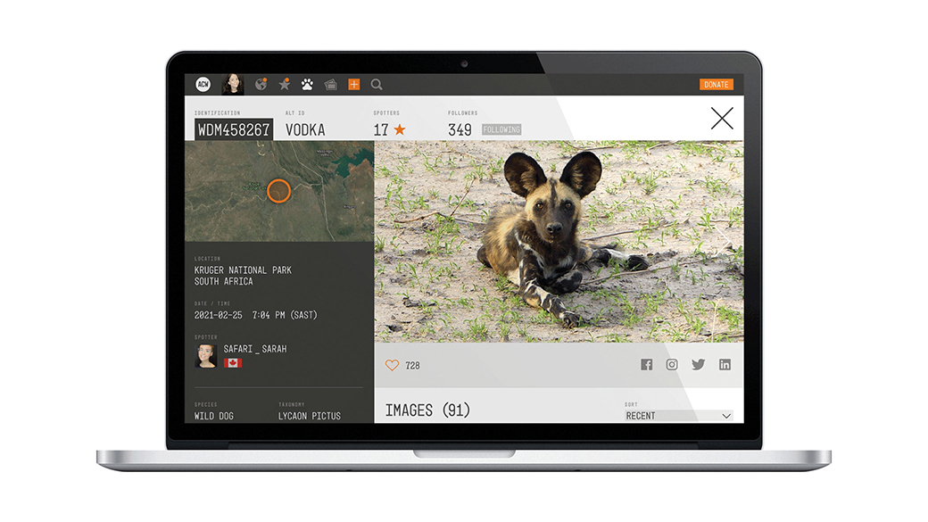 A laptop displays a wildlife tracking app with an African wild dog image. The interface shows location details, user info, and social media icons.
